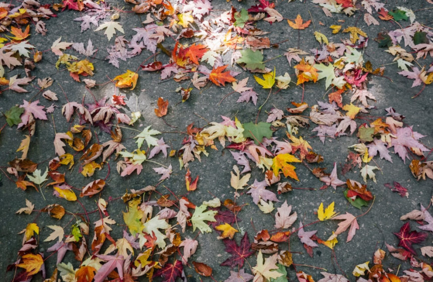 Tendenze di ottobre: la palette per l’autunno